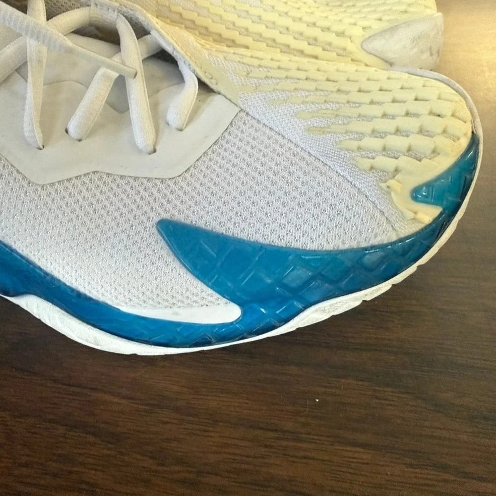 Nike nikecourt air